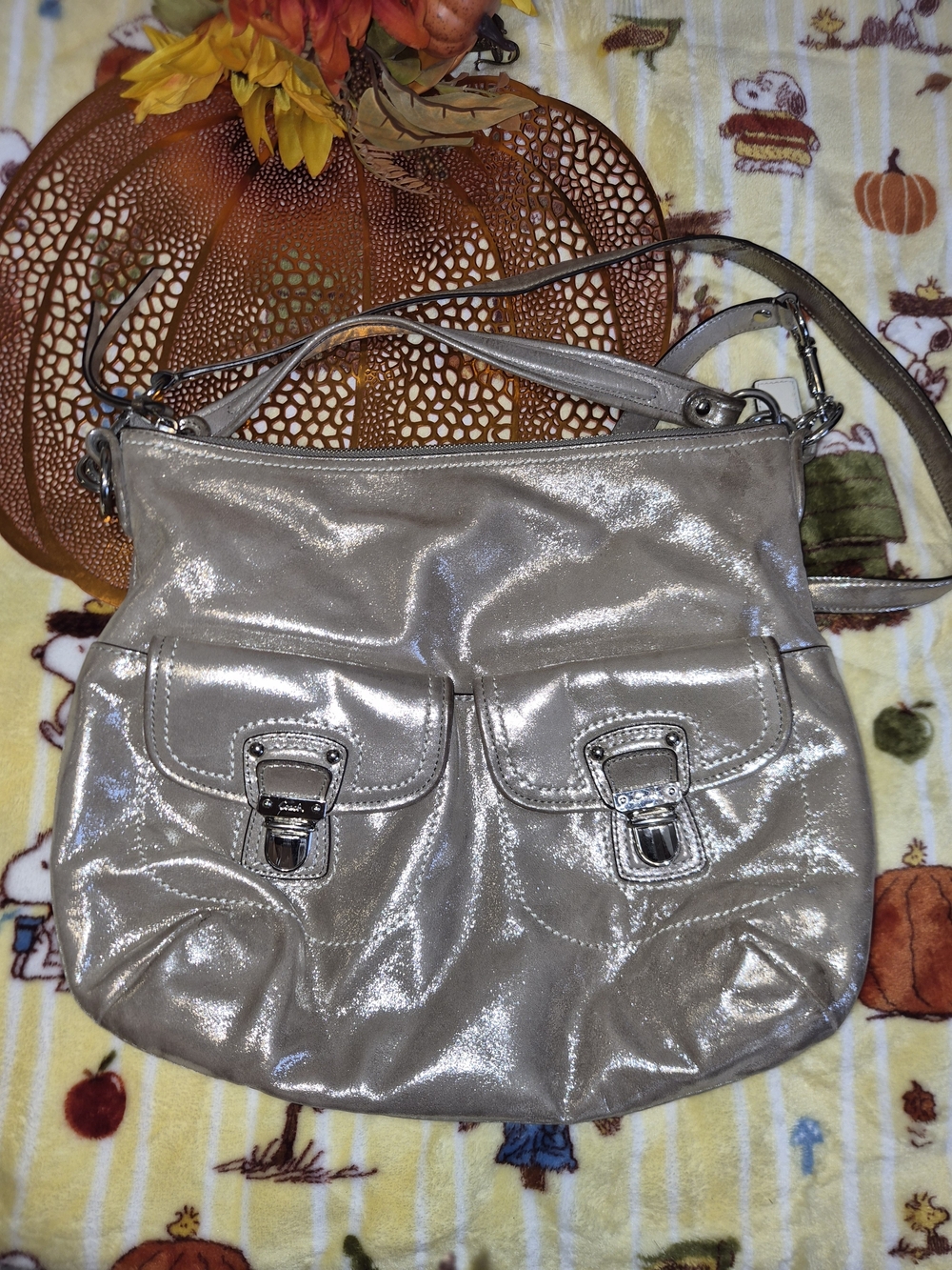 Coach Poppy Metallic Silver Leather Shoulder Bag